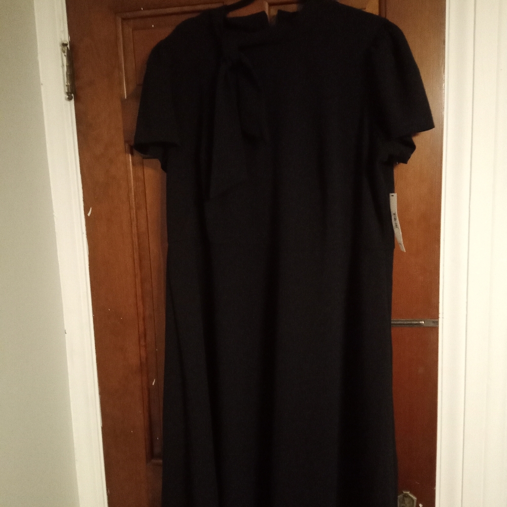 Women's Flare dress size 20W